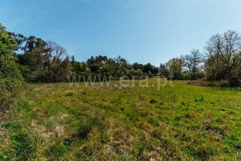 Helårsgrund i Fundao, Castelo Branco, Fundao - € 59.000 | Ref: 255230082 - foto 10