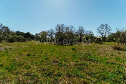 Helårsgrund i Fundao, Castelo Branco, Fundao - € 59.000 | Ref: 255230082 - foto 11
