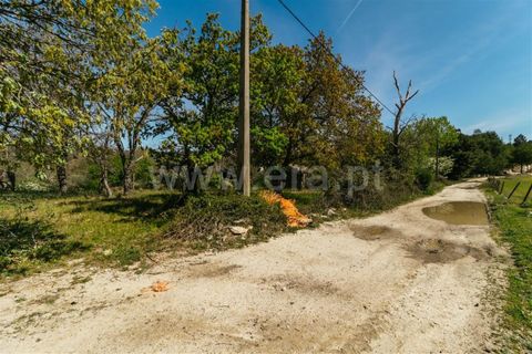 Helårsgrund i Fundao, Castelo Branco, Fundao - € 59.000 | Ref: 255230082 - foto 12