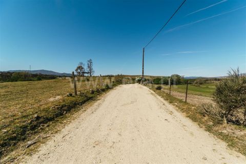 Helårsgrund i Fundao, Castelo Branco, Fundao - € 59.000 | Ref: 255230082 - foto 13