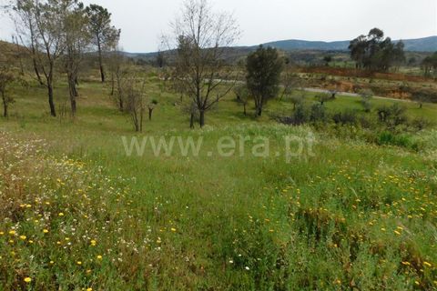 Tomt i Fundao, Castelo Branco, Fundao - € 69 000 | Ref: 255230083 - foto 8