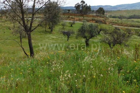 Tomt i Fundao, Castelo Branco, Fundao - € 69 000 | Ref: 255230083 - foto 10