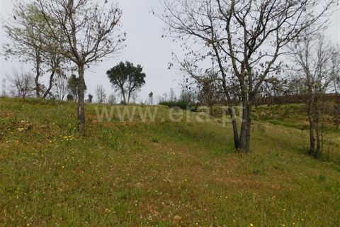 Tomt i Fundao, Castelo Branco, Fundao - € 69 000 | Ref: 255230083 - foto 11