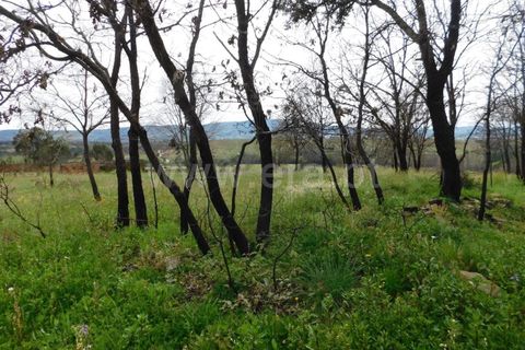 Tomt i Fundao, Castelo Branco, Fundao - € 69 000 | Ref: 255230083 - foto 12