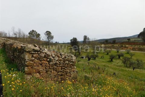 Tomt i Fundao, Castelo Branco, Fundao - € 69 000 | Ref: 255230083 - foto 13