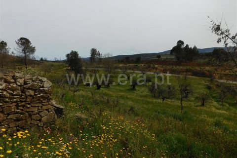 Tomt i Fundao, Castelo Branco, Fundao - € 69 000 | Ref: 255230083 - foto 15