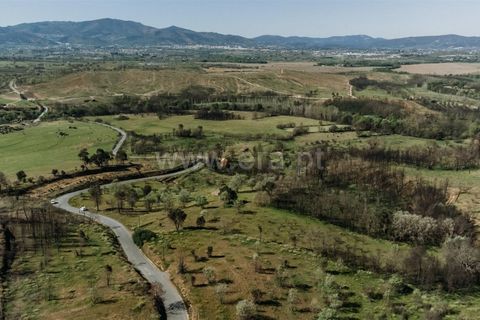 Tomt i Fundao, Castelo Branco, Fundao - € 69 000 | Ref: 255230083 - foto 2