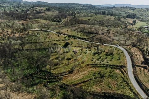 Tomt i Fundao, Castelo Branco, Fundao - € 69 000 | Ref: 255230083 - foto 3