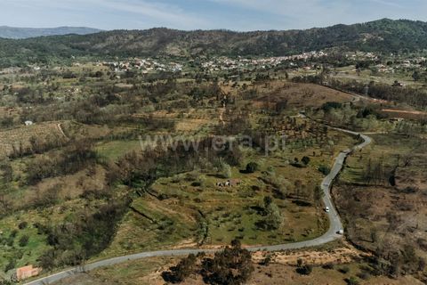 Tomt i Fundao, Castelo Branco, Fundao - € 69 000 | Ref: 255230083 - foto 4