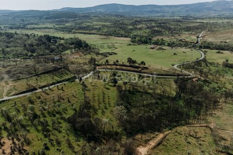 Tomt i Fundao, Castelo Branco, Fundao - € 69 000 | Ref: 255230083 - foto 5
