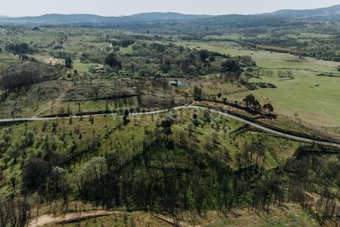 Tomt i Fundao, Castelo Branco, Fundao - € 69 000 | Ref: 255230083 - foto 7