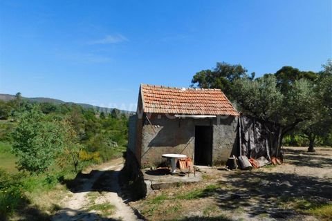 Tomt i Fundao, Castelo Branco, Fundao - € 37 500 | Ref: 255230098 - foto 2