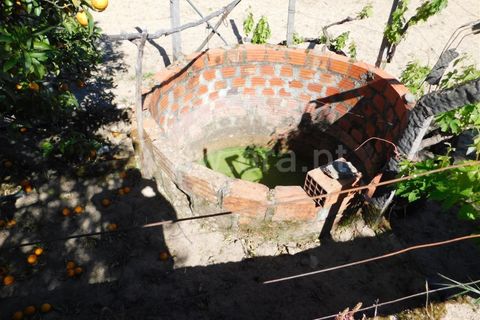 Tomt i Fundao, Castelo Branco, Fundao - € 37 500 | Ref: 255230098 - foto 3