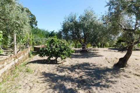 Tomt i Fundao, Castelo Branco, Fundao - € 37 500 | Ref: 255230098 - foto 7