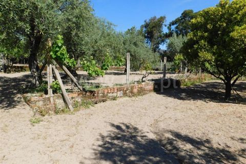 Tomt i Fundao, Castelo Branco, Fundao - € 37 500 | Ref: 255230098 - foto 8