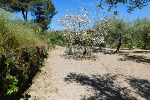Tomt i Fundao, Castelo Branco, Fundao - € 37 500 | Ref: 255230098 - foto 10