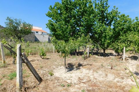 Tomt i Fundao, Castelo Branco, Fundao - € 37 500 | Ref: 255230098 - foto 11
