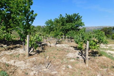 Tomt i Fundao, Castelo Branco, Fundao - € 37 500 | Ref: 255230098 - foto 12