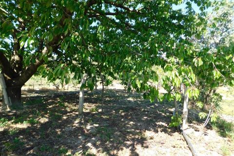 Tomt i Fundao, Castelo Branco, Fundao - € 37 500 | Ref: 255230098 - foto 13
