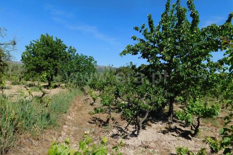 Tomt i Fundao, Castelo Branco, Fundao - € 37 500 | Ref: 255230098 - foto 14