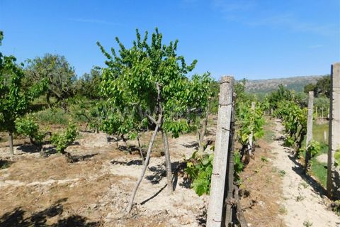 Tomt i Fundao, Castelo Branco, Fundao - € 37 500 | Ref: 255230098 - foto 15