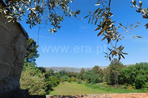 Tomt i Fundao, Castelo Branco, Fundao - € 37 500 | Ref: 255230098 - foto 16