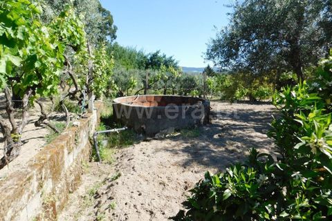 Tomt i Fundao, Castelo Branco, Fundao - € 37 500 | Ref: 255230098 - foto 18