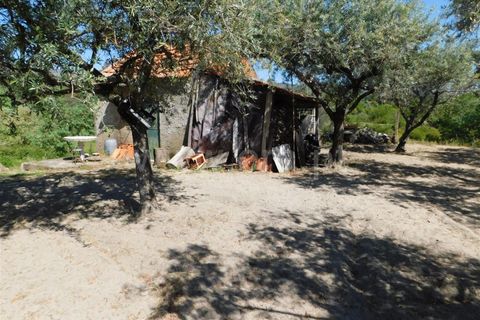 Tomt i Fundao, Castelo Branco, Fundao - € 37 500 | Ref: 255230098 - foto 19