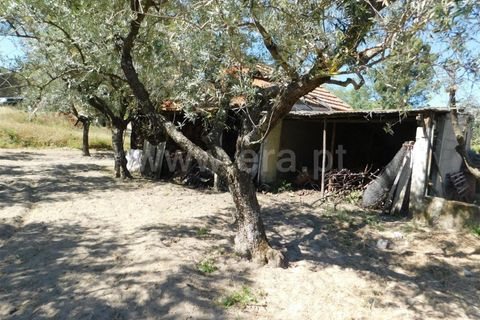 Tomt i Fundao, Castelo Branco, Fundao - € 37 500 | Ref: 255230098 - foto 20