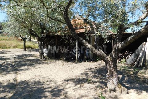 Tomt i Fundao, Castelo Branco, Fundao - € 37 500 | Ref: 255230098 - foto 21