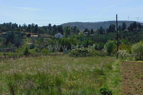 Tomt i Fundao, Castelo Branco, Fundao - € 5 500 | Ref: 255230104 - foto 2