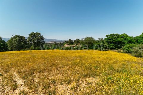 Helårsgrund i Fundao, Castelo Branco, Fundao - € 47.500 | Ref: 255230107 - foto 2