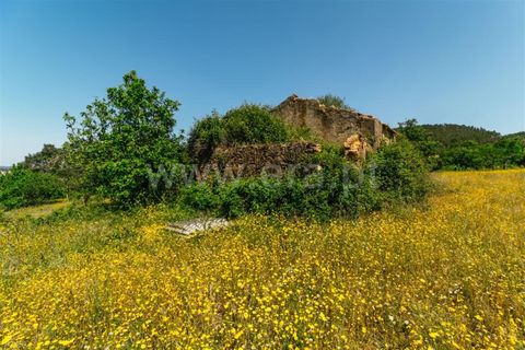 Helårsgrund i Fundao, Castelo Branco, Fundao - € 47.500 | Ref: 255230107 - foto 4