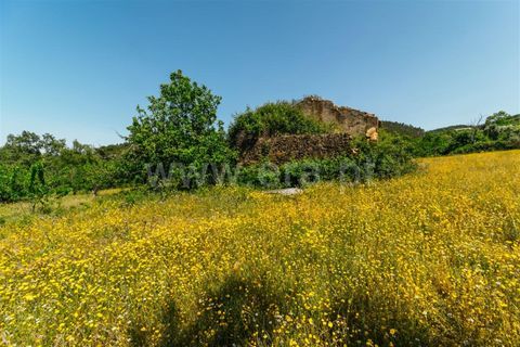 Helårsgrund i Fundao, Castelo Branco, Fundao - € 47.500 | Ref: 255230107 - foto 5