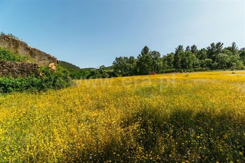 Helårsgrund i Fundao, Castelo Branco, Fundao - € 47.500 | Ref: 255230107 - foto 6