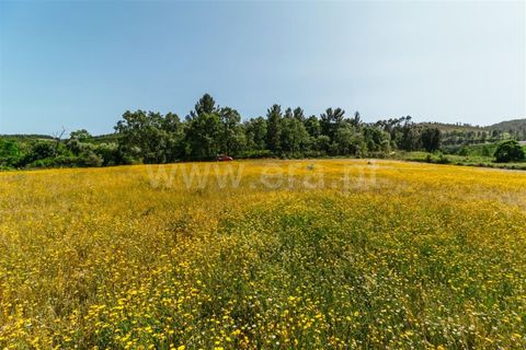 Helårsgrund i Fundao, Castelo Branco, Fundao - € 47.500 | Ref: 255230107 - foto 7