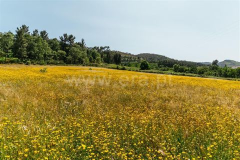 Helårsgrund i Fundao, Castelo Branco, Fundao - € 47.500 | Ref: 255230107 - foto 8