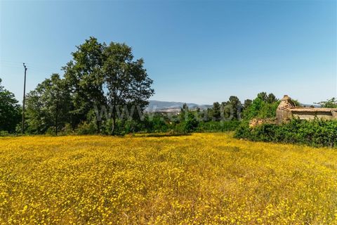 Helårsgrund i Fundao, Castelo Branco, Fundao - € 47.500 | Ref: 255230107 - foto 9