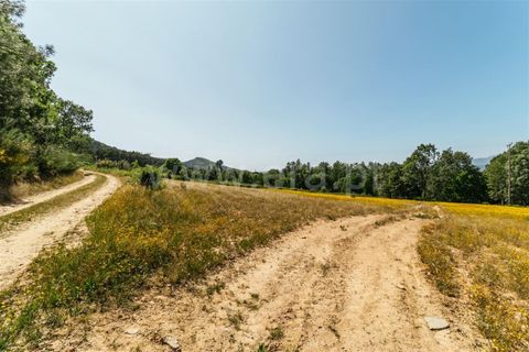 Helårsgrund i Fundao, Castelo Branco, Fundao - € 47.500 | Ref: 255230107 - foto 11