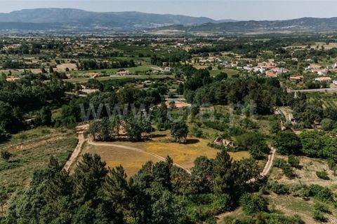 Helårsgrund i Fundao, Castelo Branco, Fundao - € 47.500 | Ref: 255230107 - foto 14