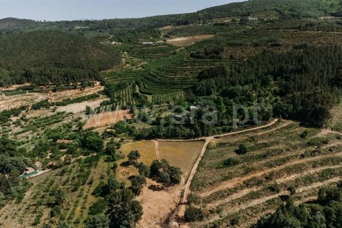 Helårsgrund i Fundao, Castelo Branco, Fundao - € 47.500 | Ref: 255230107 - foto 19