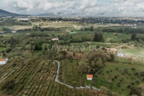 Helårsgrund i Fundao, Castelo Branco, Fundao - € 28.500 | Ref: 255230111 - foto 2