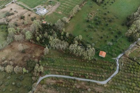 Helårsgrund i Fundao, Castelo Branco, Fundao - € 28.500 | Ref: 255230111 - foto 3
