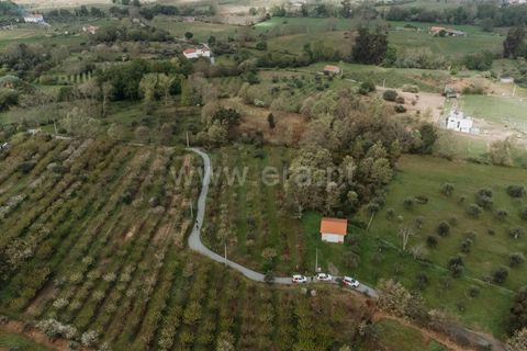 Helårsgrund i Fundao, Castelo Branco, Fundao - € 28.500 | Ref: 255230111 - foto 4