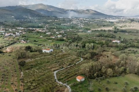 Helårsgrund i Fundao, Castelo Branco, Fundao - € 28.500 | Ref: 255230111 - foto 5