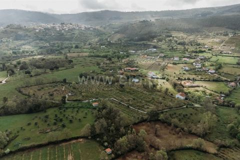 Helårsgrund i Fundao, Castelo Branco, Fundao - € 28.500 | Ref: 255230111 - foto 6