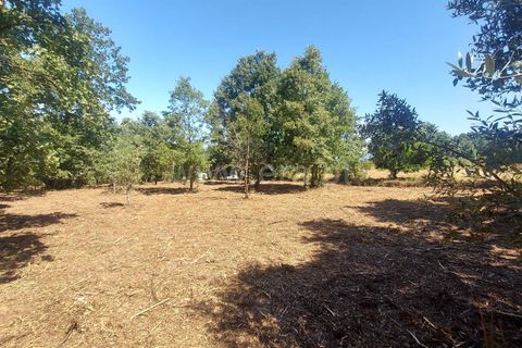 Helårsgrund i Fundao, Castelo Branco, Fundao - € 28.500 | Ref: 255230111 - foto 7