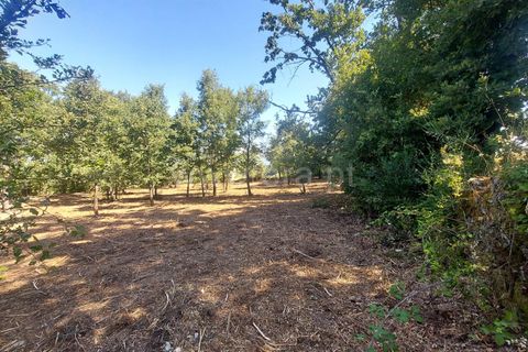 Helårsgrund i Fundao, Castelo Branco, Fundao - € 28.500 | Ref: 255230111 - foto 8