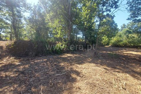Helårsgrund i Fundao, Castelo Branco, Fundao - € 28.500 | Ref: 255230111 - foto 11