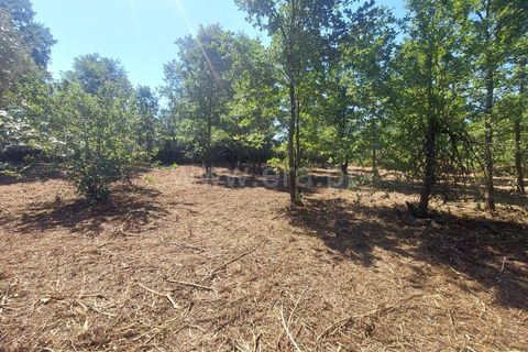Helårsgrund i Fundao, Castelo Branco, Fundao - € 28.500 | Ref: 255230111 - foto 12